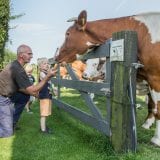 Boerderijcamping Het Varsenerveld